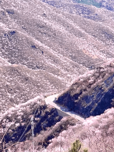 图源：小红书用户慕尼黑兔兔