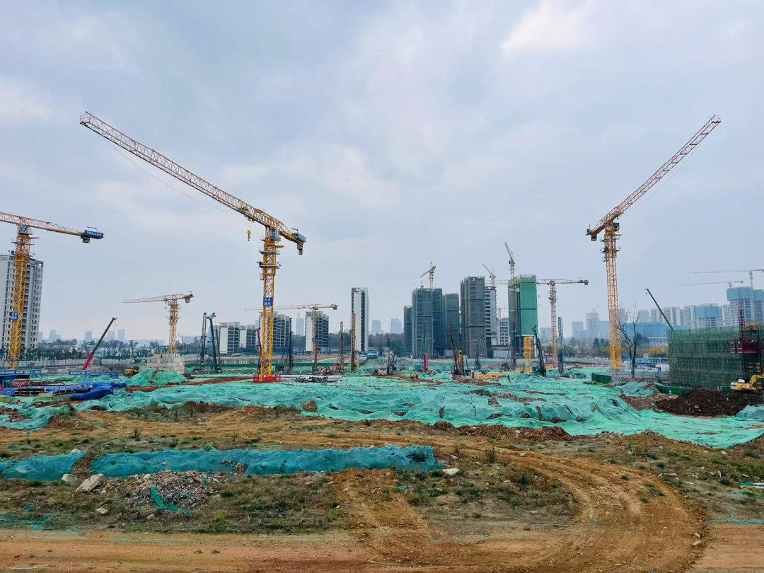 图源：文轩图库