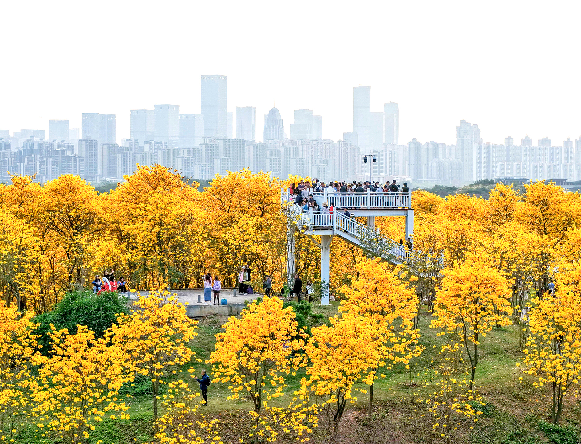     �Խ���2�³��Ƴ��ͻ�������������ɽ�羰���ο���һ·������    �����������ӿ� ��