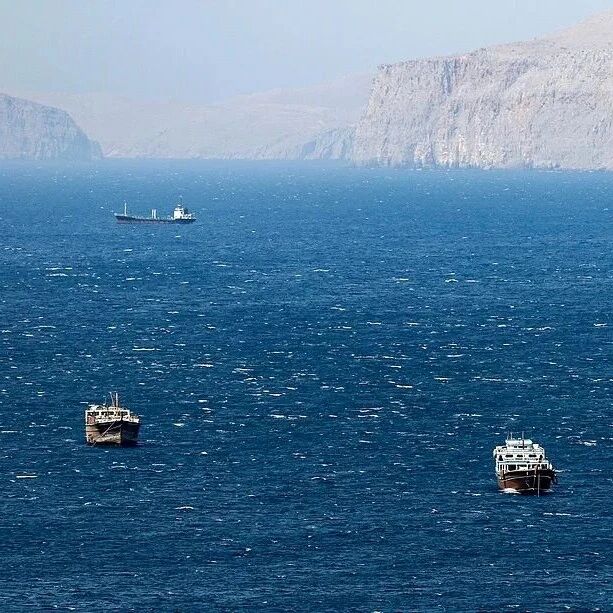 三大国际机构发表联合声明