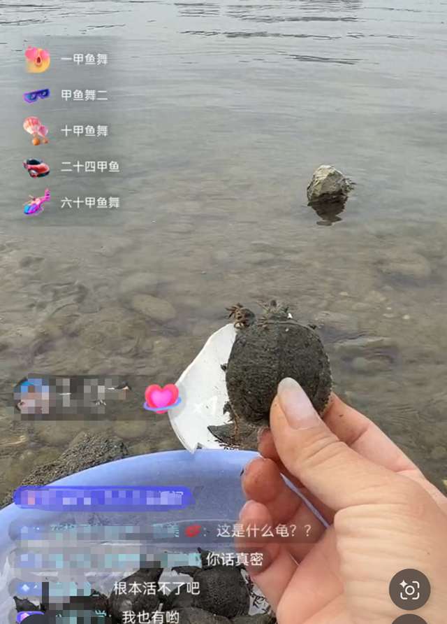 “功德”被明码标价,揭开直播间“打赏放生”的生态隐患|甲鱼|短视频|水域|外来物种|品种_手机新浪网
