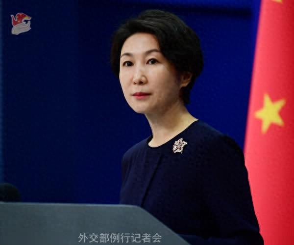 毛宁 云尔图。图源：社交部网站