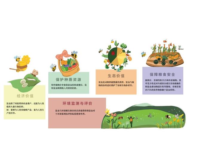 锦江酒店（中国区）加入传粉昆虫守护者联盟（PPA），领先在酒店场景下打造“昆虫酒店”|生物|西双版纳傣族自治州|云南省|生物多样性|锦江股份_新浪新闻