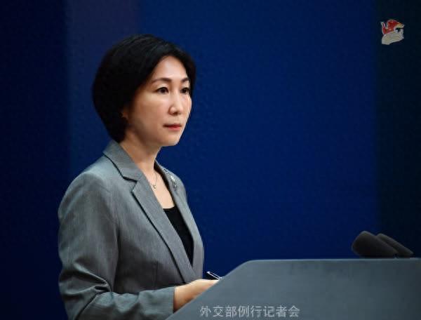 毛宁云尔图。图源：酬酢部网站