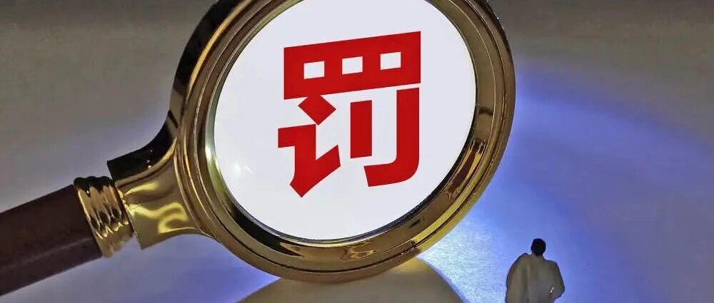 年内33家上市公司被查被罚，踩雷股民可索赔