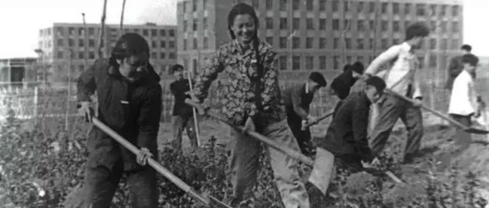 根脉相连 薪火相传