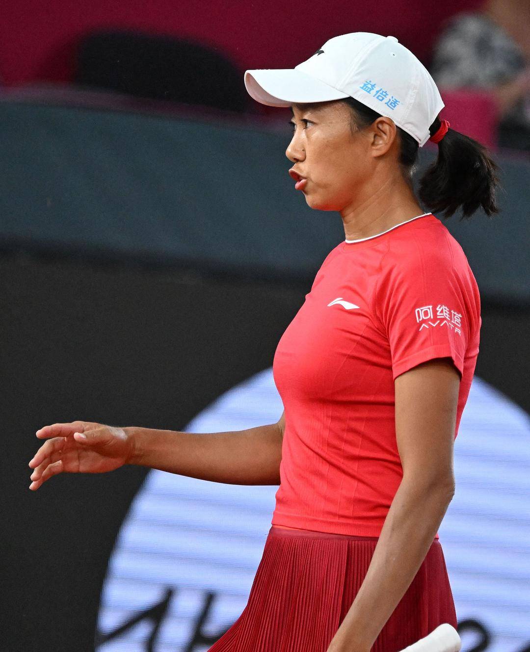 张帅拟获全国五一劳动奖章|林茨|林茨站|WTA500|波塔波娃|女单_新浪体育_新浪新闻