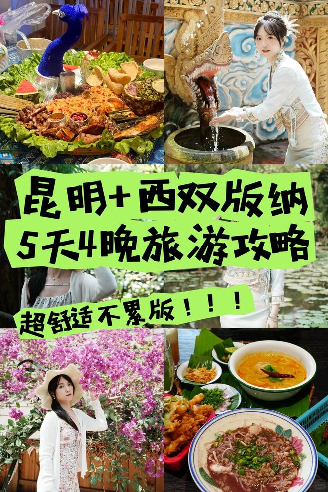 版纳5天4晚纯玩团2026价格表,跟团五日游纯玩深度游报价及攻略|西双版纳傣族自治州|植物园|导游|电瓶车|云南省_新浪新闻
