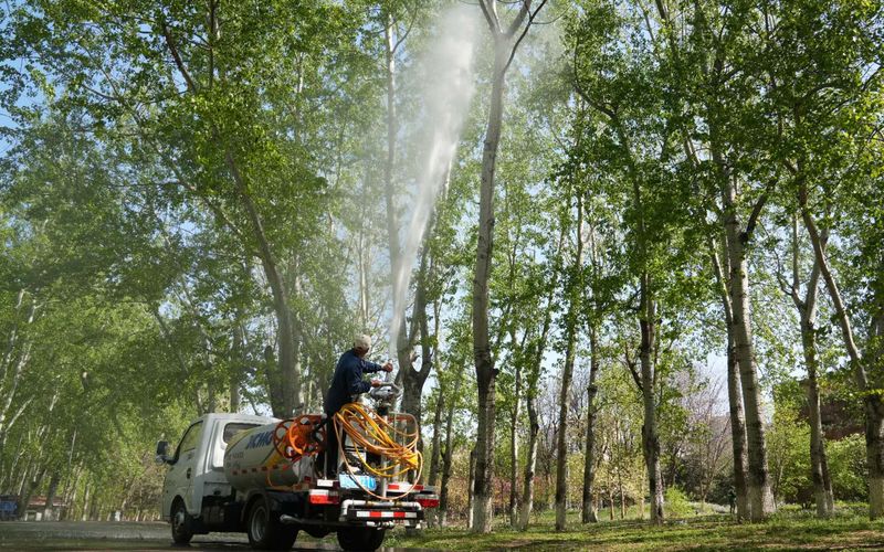 在奥林匹克森林公园，园林绿化工人向树木喷施杨柳飞絮凝絮剂。北京市园林绿化局供图