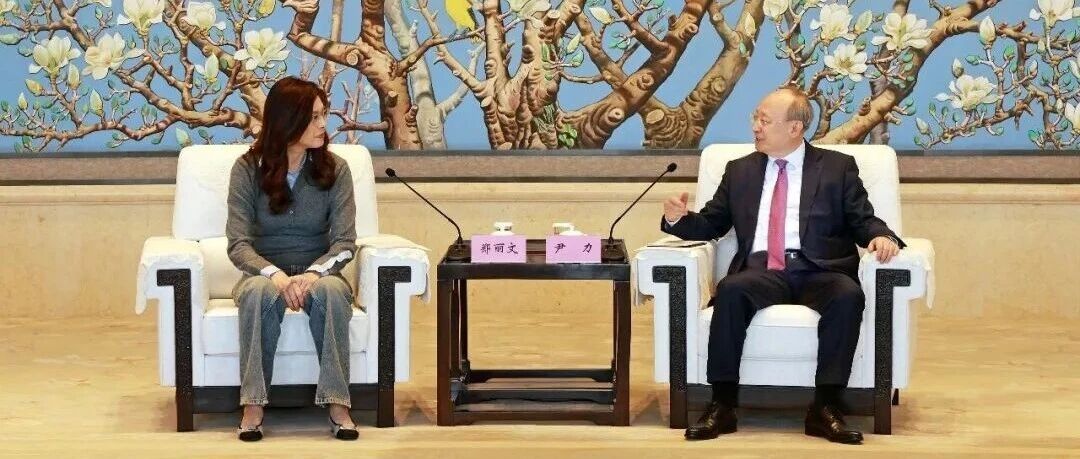 尹力会见中国国民党主席郑丽文