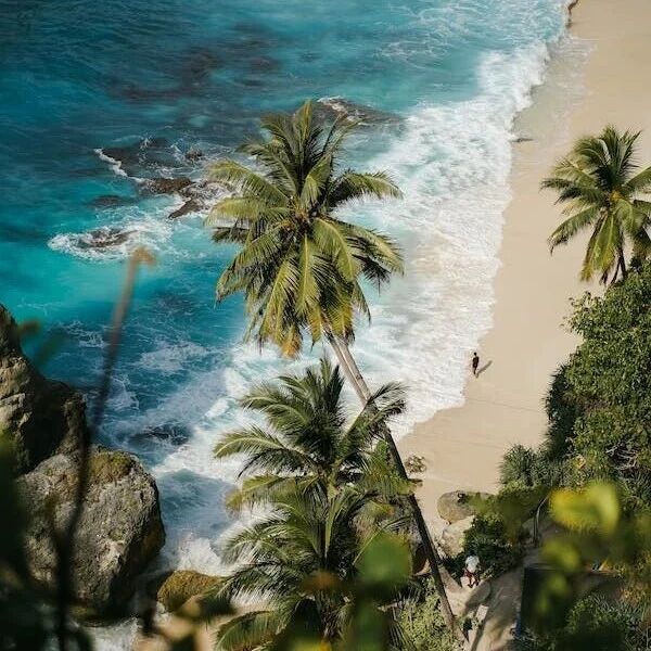 Meta 143亿挖角后的首个作品：Alexandr Wang 推出闭源模型，杨立坤点赞