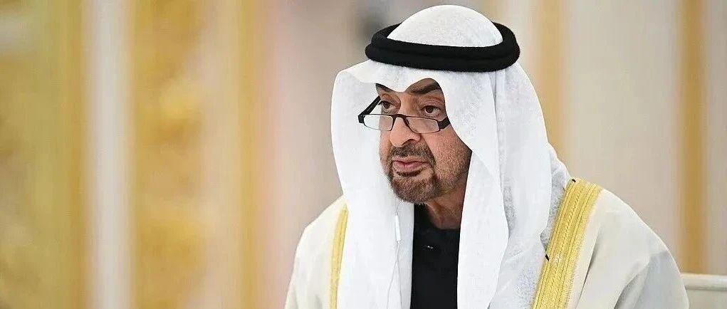 阿联酋总统最新涉华表态