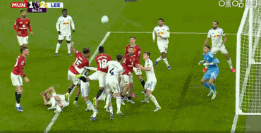 打开网易新闻 查看精彩图片