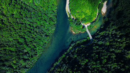 俯瞰武夷山国家公园 图源：人民网