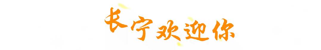 图片由区绿化市容局提供