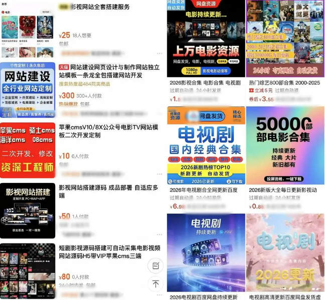 ▲有商家售卖影视资源和网站搭建服务。电商平台截图