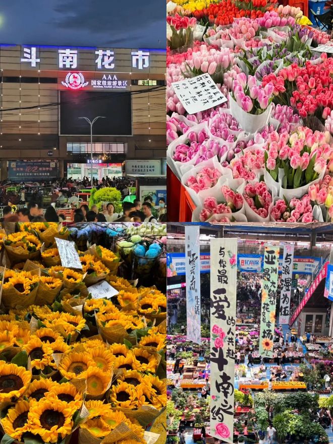 云南五日游纯玩团安排 去玉龙雪山5日游小团跟团价格|云南省|杉杉|丽江市|束河古镇|束河_新浪新闻