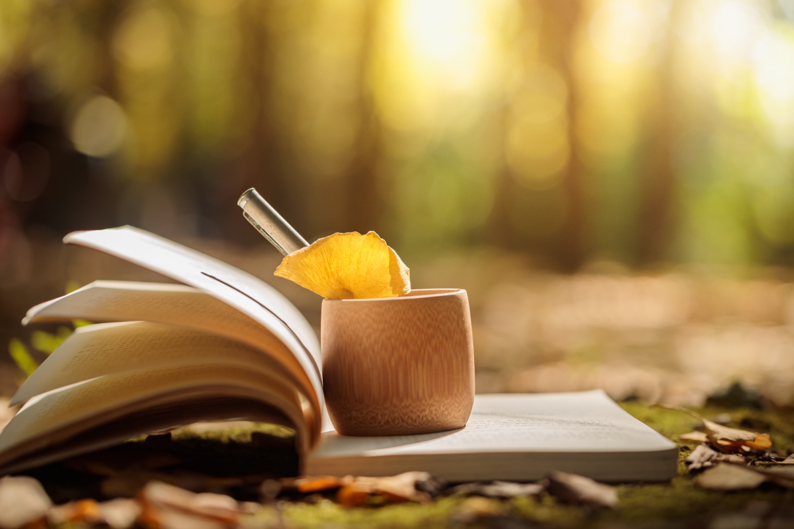 成功学充斥童书排行榜？应该由谁来为孩子挑书