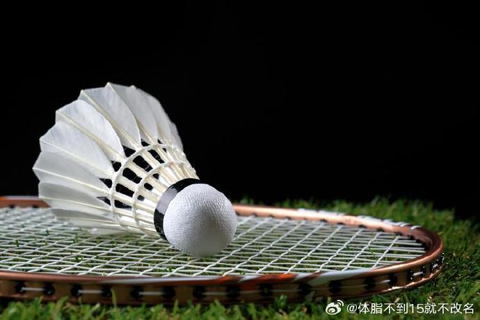 "Chen Yufei’s Strong Backing for Badminton’s 15-Point Reform: A Game-Changer Aligned with Her Style, Career Goals, and the Sport’s Future"