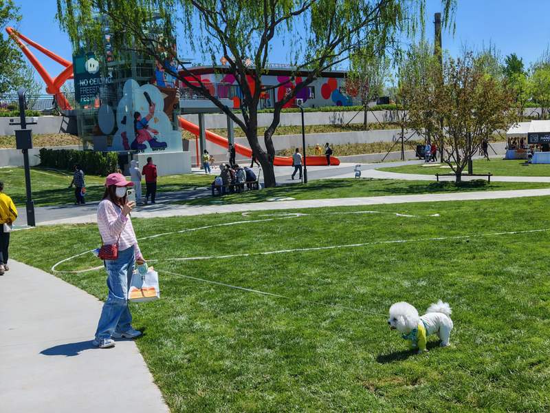 游客牵着宠物狗逛公园。新京报记者 张璐 摄