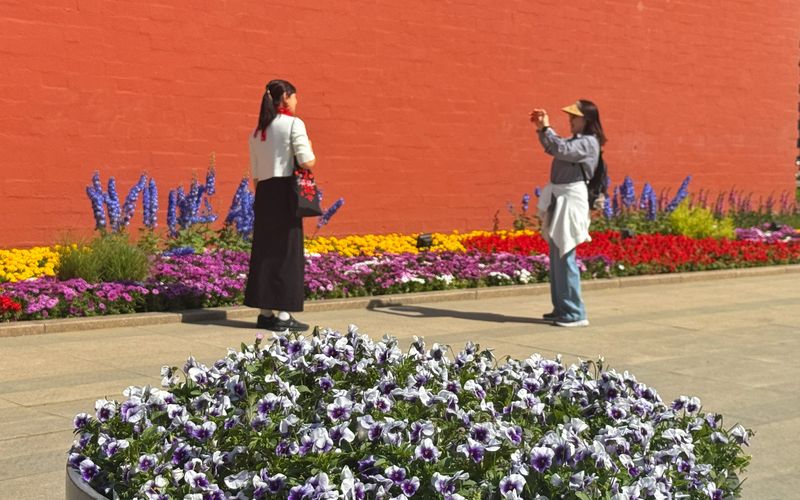 东城区“五一”花卉布置完成,栽植花卉39.8万株盆_新浪科技_新浪网