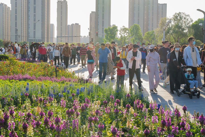 市民走过色彩丰富的路边花卉景观。新京报记者 王子诚 摄