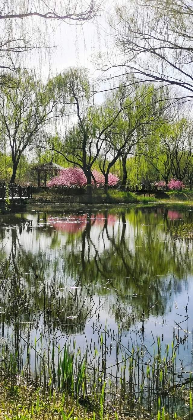 △花影 郝海花 摄