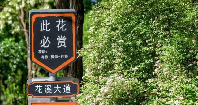 北京郊野公园提质焕新探索活化运营