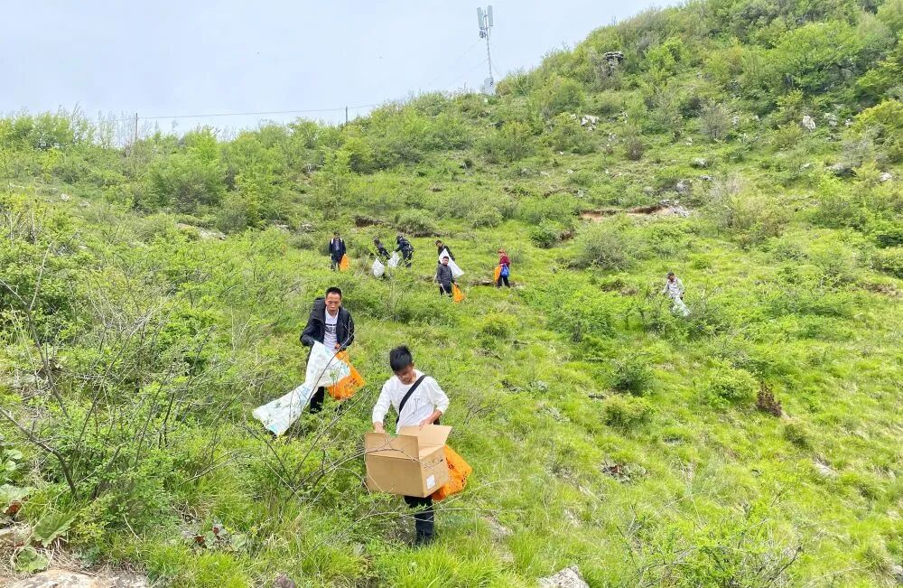 记者徒步5小时，捡了两麻袋垃圾……|河南省_新浪财经_新浪网