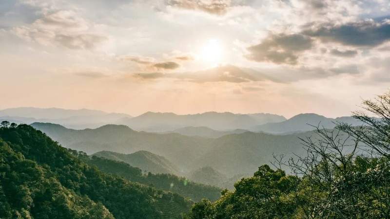 图源/unsplash
