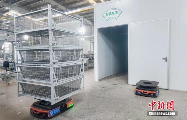 图为广西横州市一家茶企的生产车间内，数台智能搬运机器人来回穿梭，将装载有不同制作工序的茉莉花茶运送到相应车间。陈冠言摄