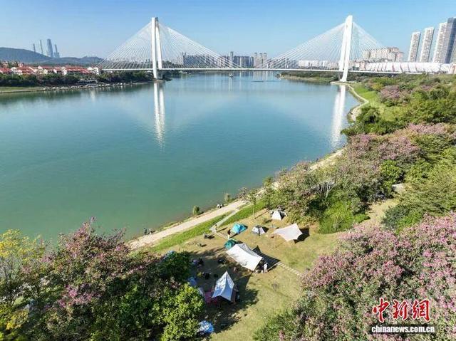 图为邕江边风景宜人。中新社记者 陈冠言 摄