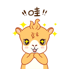 丨记者：娜美拉 达布希拉图