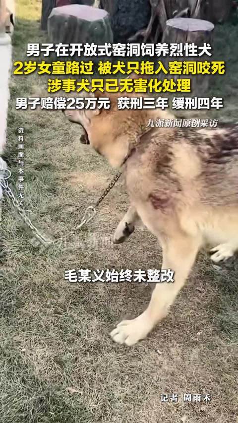 咬死女童烈性犬多次挣脱铁链|无害化处理|河南省|汝州市|身亡|有期徒刑_新浪新闻
