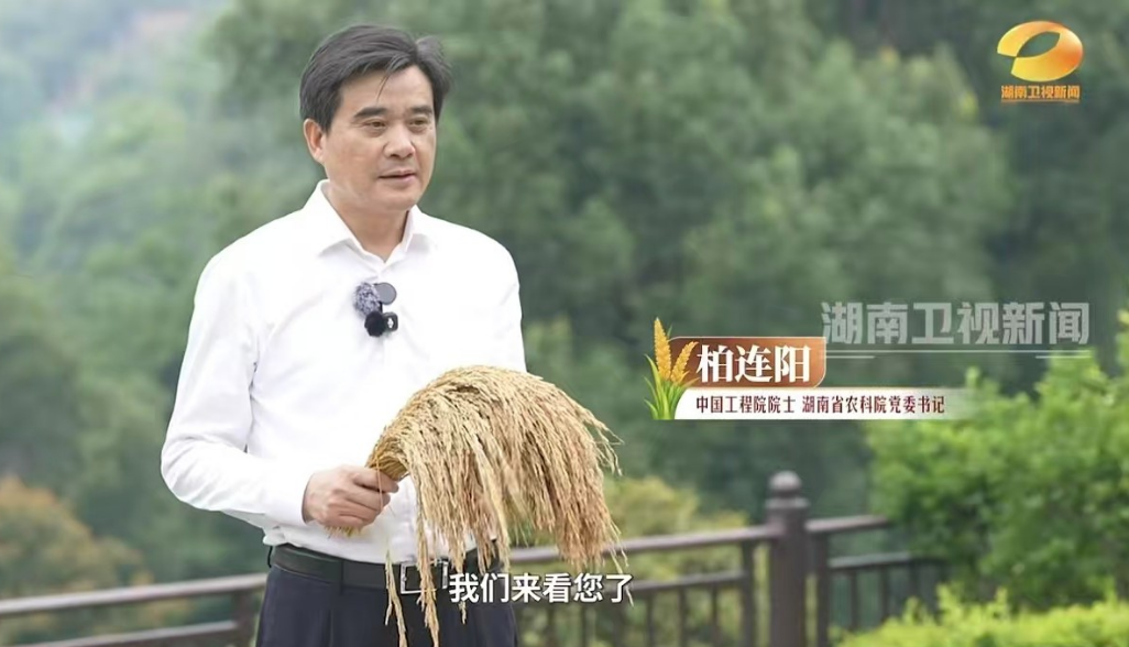 袁隆平逝世五周年：湖南农科院前往墓园祭奠，墓前摆满“希望的种子”