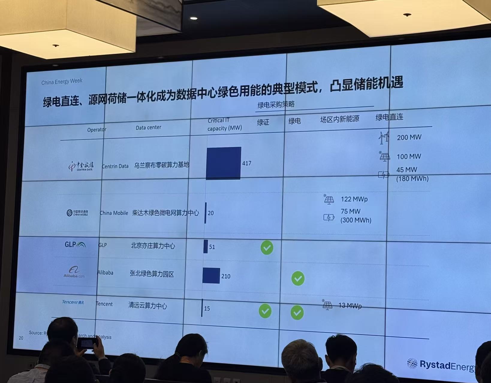 图片拍摄：田鹤琪
