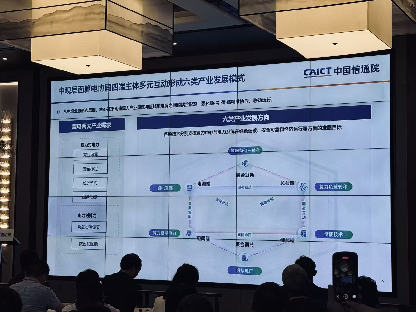 图片拍摄：田鹤琪