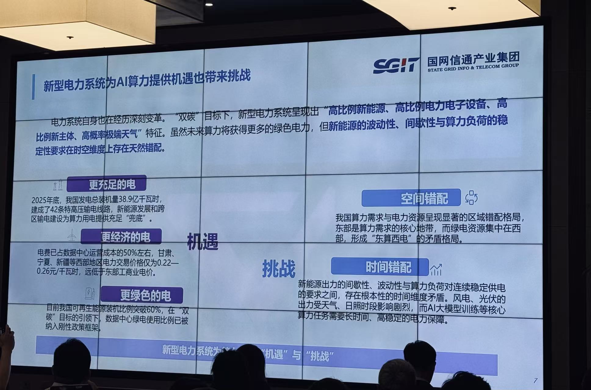 图片拍摄：田鹤琪