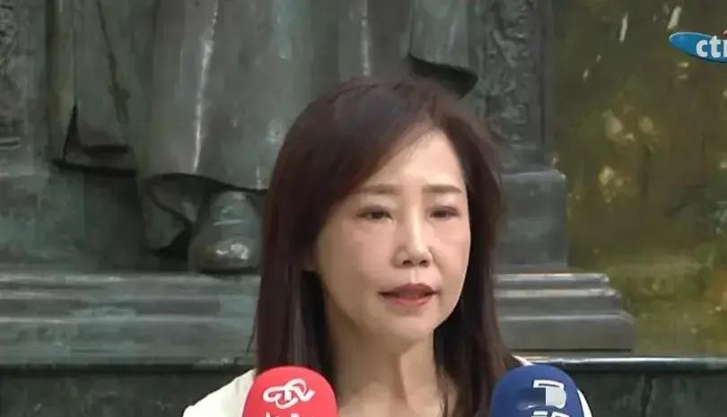 赵少康与郑丽文起争执，嘉宾集体沉默，尹乃菁辞职另有隐情