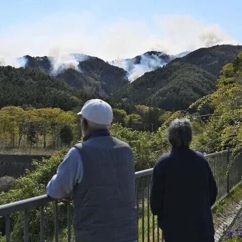 越来越多日本人“死了还要离”