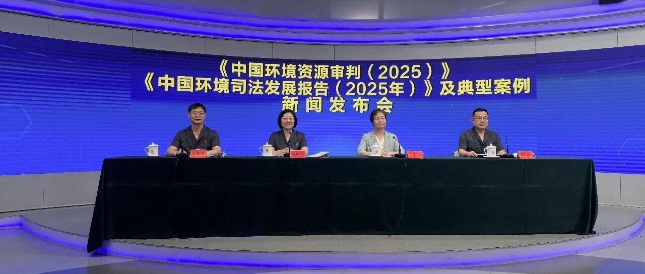 情节特别严重！欧某某，伙同他人非法开采稀土矿，被判刑