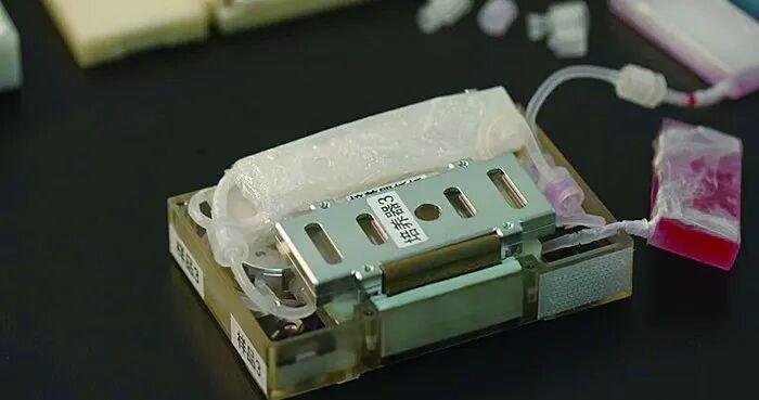 全球超17亿人患病，中国空间站实验有望提供新疗法
