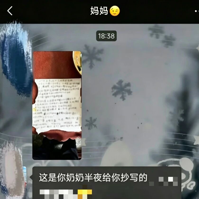 “这是奶奶半夜给你抄写的，说高考可能要考的……”
