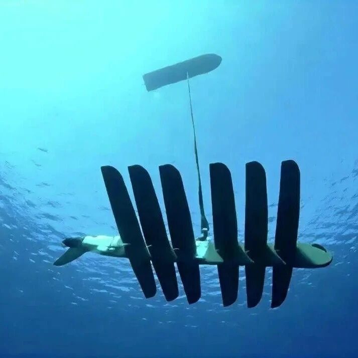 国安部披露：在我国某海域发现有较大型活体海洋动物被挂上传感器，窃取海洋敏感数据