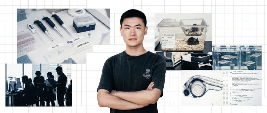 瘫痪小鼠4周重新走路，磁控细胞机器人成功修复受损脊髓