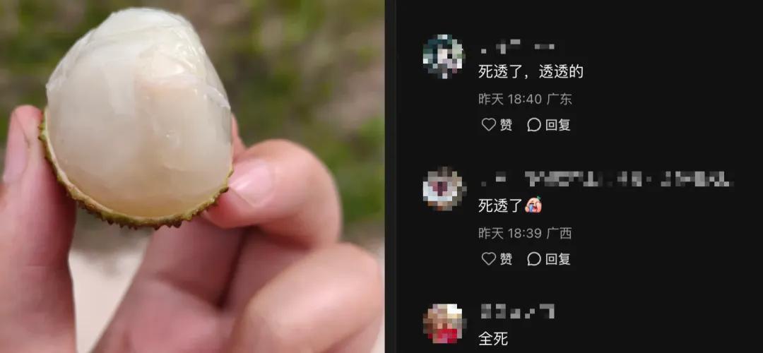 图片来源：小🍠