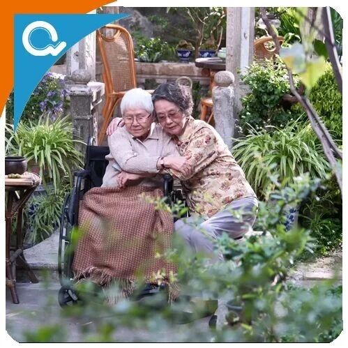 用AI写情书的人，都应该学学谢南枝
