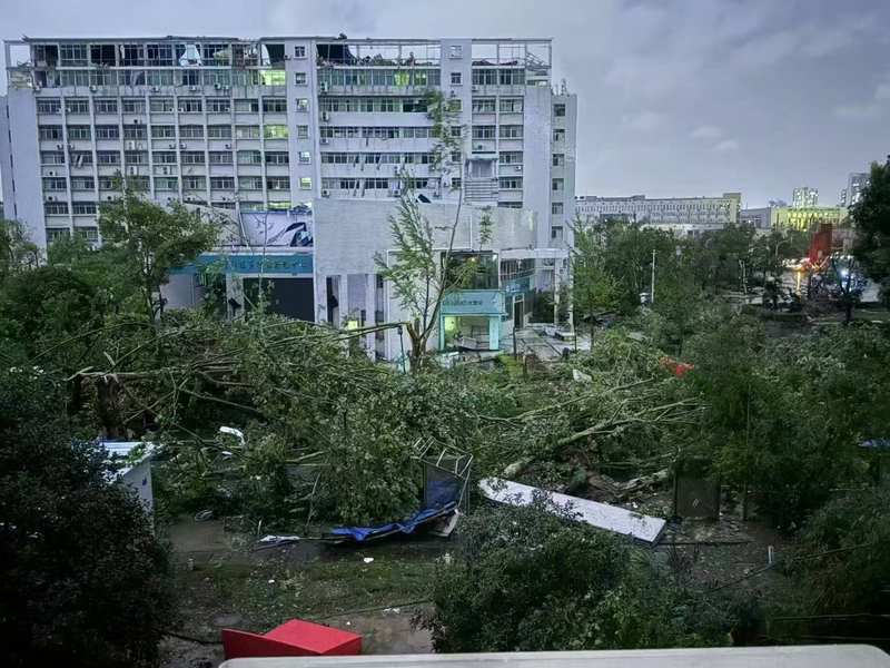 风雨过后，黄冈师范学院校园内树木大面积倒伏。受访者供图