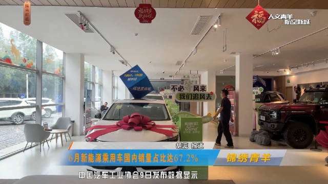 6月新能源<em>乘用车</em>国内销量占比达67.2%