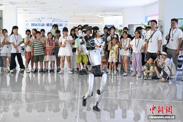 图为两岸青少年观看宇树机器人舞蹈展示。中新社记者 何蓬磊 摄